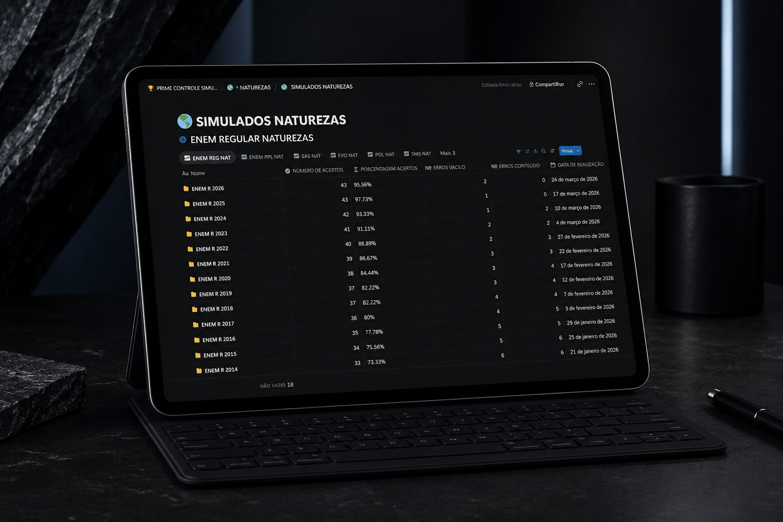Prime Controle no Notion, detalhes do painel